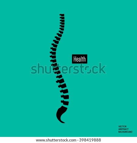 A small bone in front of the temporal muscle: Human Backbone Names Spine Sections Numbers Stock Vector 318108875 - Shutterstock