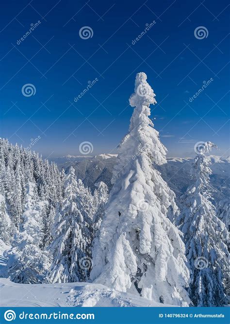 Winter Wonderland Mountains Landscape Christmas