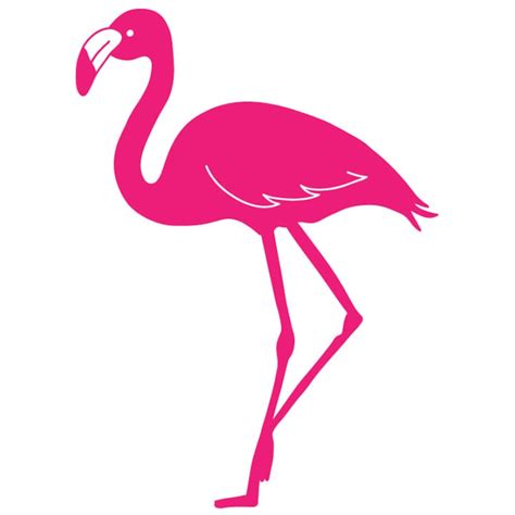 Flamingo svg flamingo outline svg flamingo cut file flamingo | Etsy