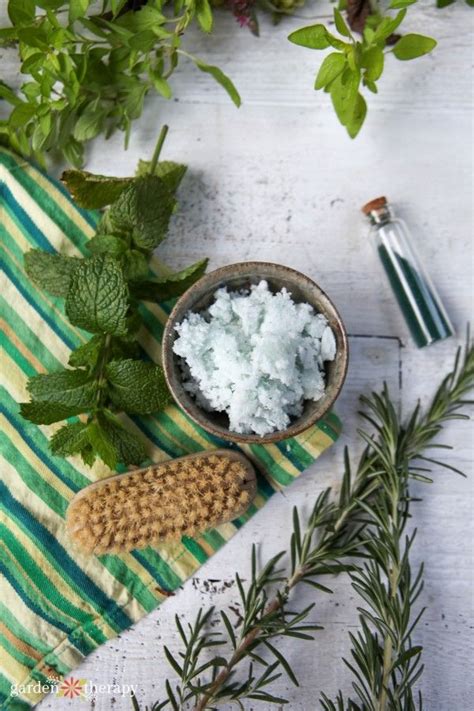 Learn more about spearmint uses, effectiveness, possible side effects, interactions, dosage, user ratings and products that contain spearmint. Simple and Energizing Rosemary + Spearmint Sugar Scrub ...