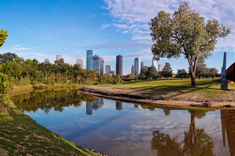 Your Complete Montrose Houston Neighborhood Guide Rent Blog