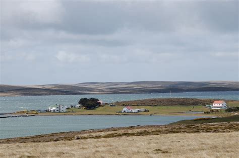 Darwin Falkland Eilanden Ander Licht Reizen