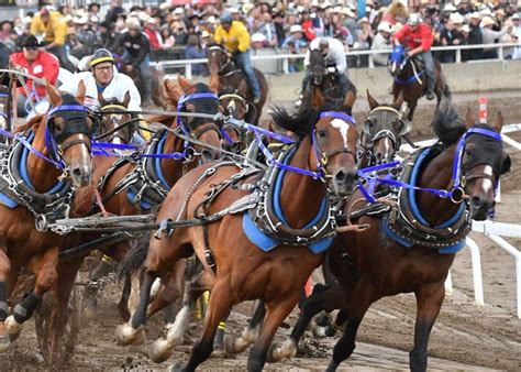 California rangeland trust is committed to protecting air, water, wildlife, and healthy local food by conserving rangeland and ensuring it will never be developed. Chuck incident during last night of Rangeland derby - 660 NEWS