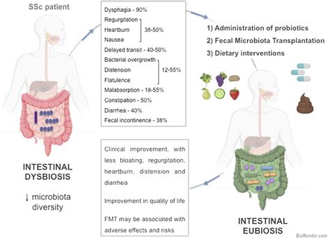 Dysbiosis And Gut Microbiota Modulation In Systemic Sclerosi Jcr