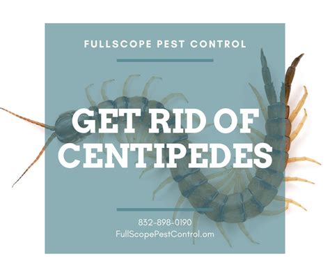 Save on pest control bills by doing it yourself with diy pest control. Get Rid of Centipedes in Your Kingwood Home