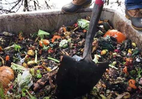 Vermont Bans Plastic Bags Mandates Composting Instead Of Throwing Out