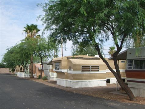 Joshua trees for sale single tops double top triple tops best prices guaranteed call show contact info. Recent Sales - Cooper Cardinal