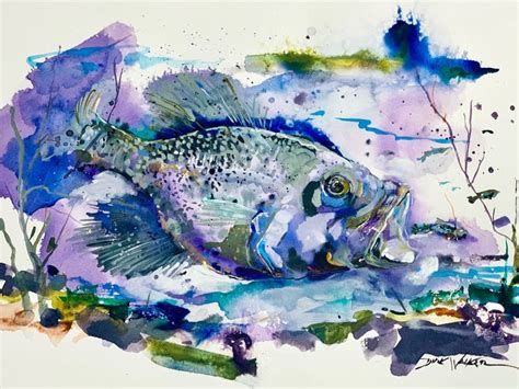 Black Crappie By Dirk Walker Animal Paintings Fish Painting