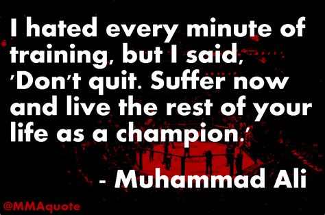 8 famous quotes about fighter jets: Motivational Quotes with Pictures (many MMA & UFC): Inspirational Quotes by Fighters