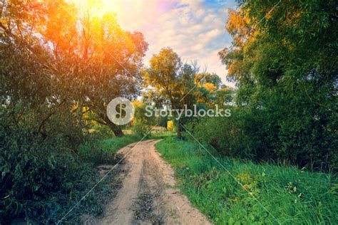 Dirt Road With The Blue Cloudy Sky At Sunset Beautiful Evening Nature