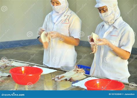 Workers Are Peeling Dry Squids For Exporting In A Seafood Factory In
