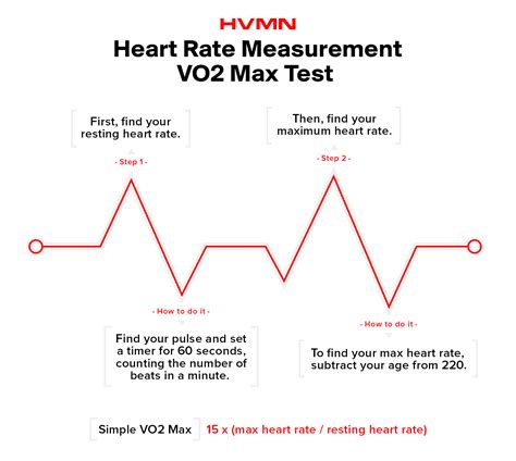 Vo2 Max Training To Use Oxygen Efficiently Hvmn Blog