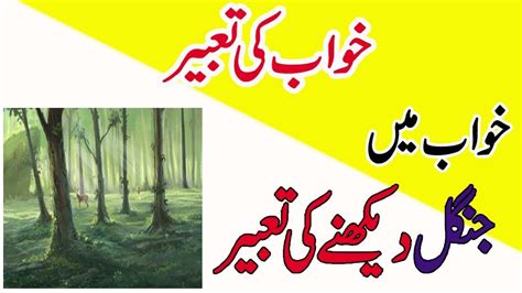 Khwab Mein Jungle Dekhnay Ki Tabeer Khwabon Ki Tabeer In Urdu