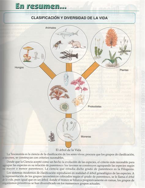 Biología Para Zanakas 7 Tema 2 Diversidad Biológica Clasificación