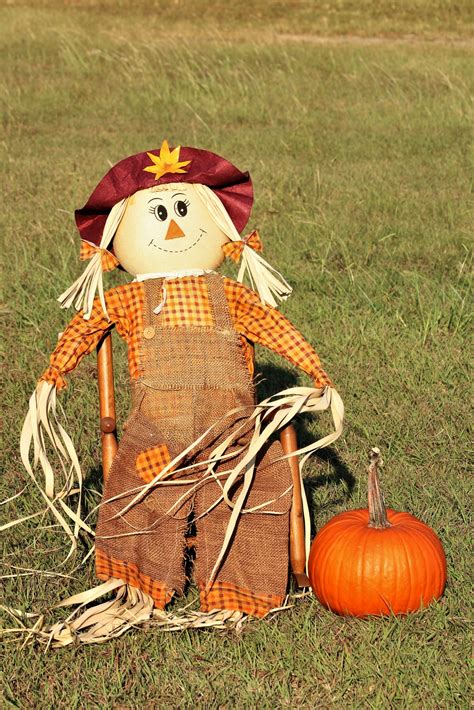 Scarecrow And Pumpkin In Grass Free Stock Photo Public Domain Pictures