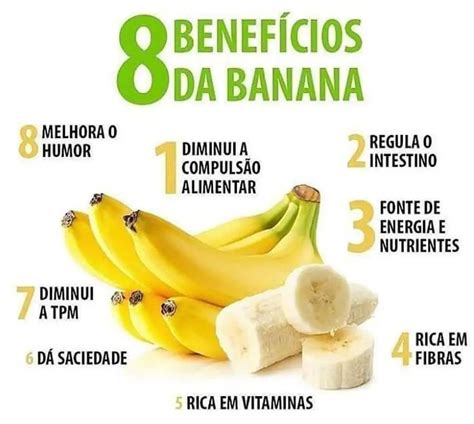 Tudo Sobre Bananeiras Mundo Ecologia
