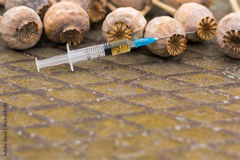 Drug Opium Poppy Inside The Syringe Deadly Drug Addiction Stock Photo