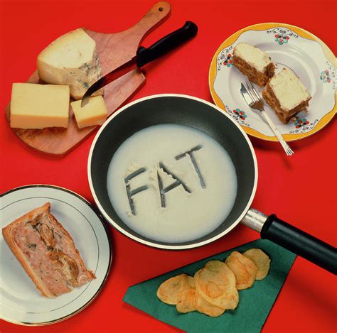 Foods Containing Fat Photograph By Sheila Terryscience Photo Library