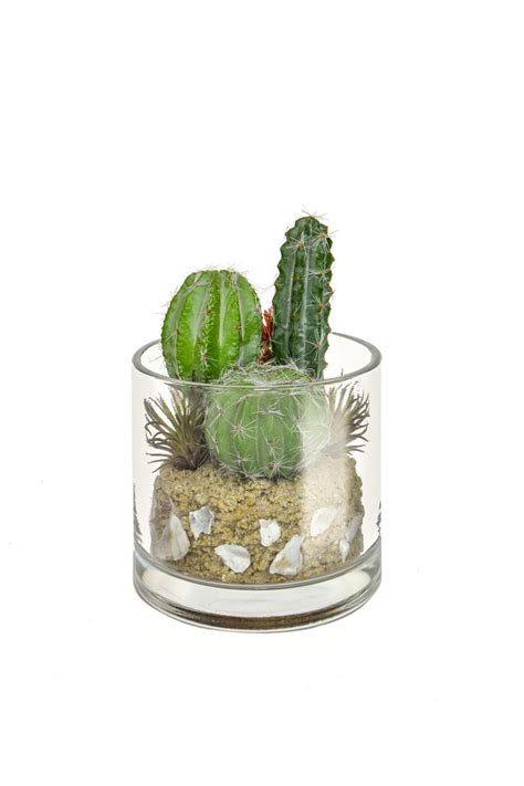Artificial Cactus Mix In Glass Vase Just Artificial