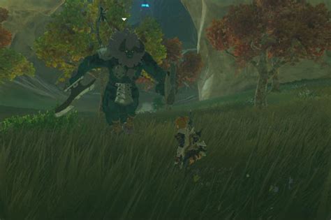The Best Weapons In Botw And Where To Find Them Digital Trends