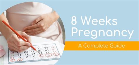 8 Weeks Pregnancy A Complete Guide
