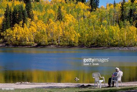 Uinta National Forest Photos And Premium High Res Pictures Getty Images