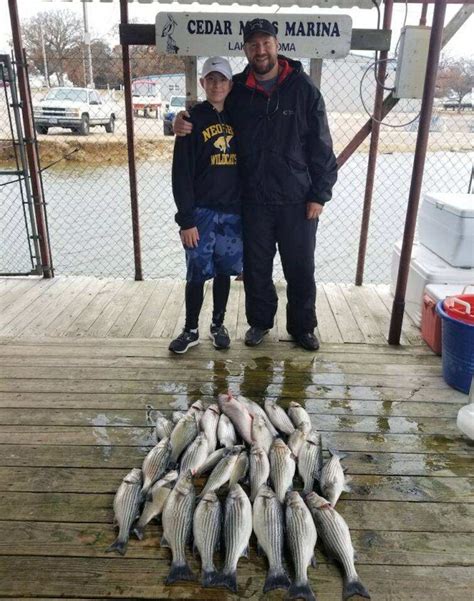 Lake texoma (oklahoma, usa / texas, usa) 100: Texoma Striper Guides | Captain Marty's Lake Texoma Guide ...