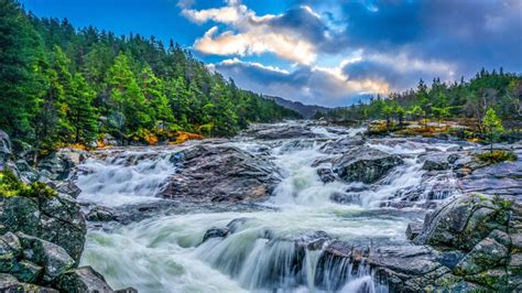 Mountain River Waterfall Riverbed With Rocks And Green