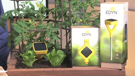Edyn Garden Sensor Gives You A Green Thumb Youtube