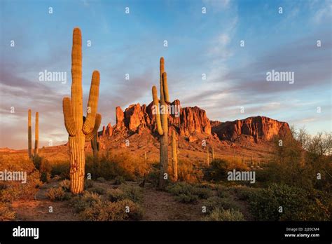 Scenic Sonoran Desert Landscape In The Superstition Mountains At Lost