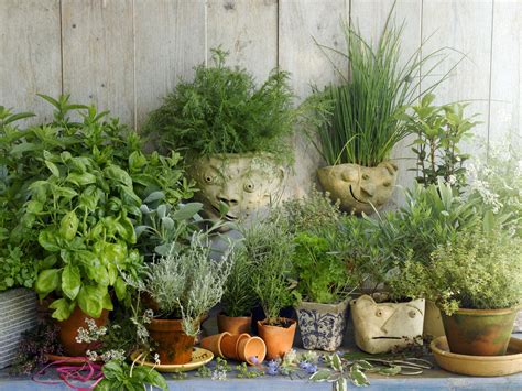Planning A Garden For Growing Herbs