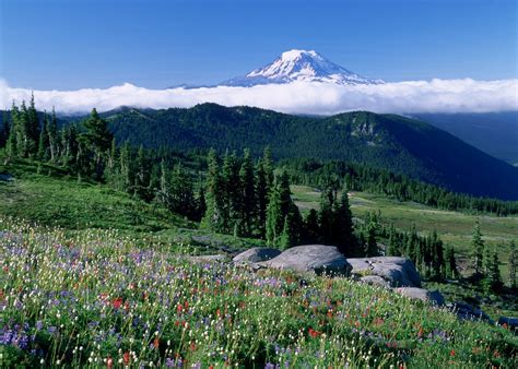 Visit Mount Rainier National Park The Us Audley Travel