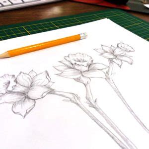 See more ideas about creion, desene, desen. Desene in creion - Invata sa desenezi in creion pas cu pas