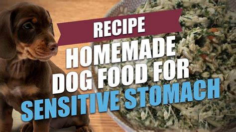 Many pet lovers prefer to use the meal since they can continue using it even when the animal gets sick or grows older without having to change the diet. Best Canned Dog Food For Sensitive Stomachs - Dog Ideas