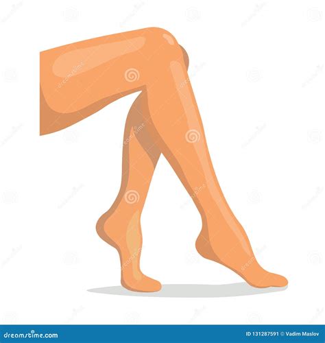 Beautiful Drawn Female Legs Close Up Woman Legs Stock Vector