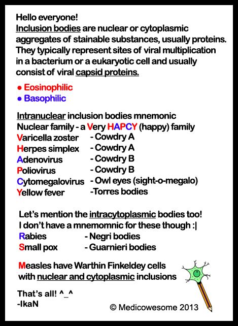 Medicowesome Viral Inclusion Bodies Mnemonic