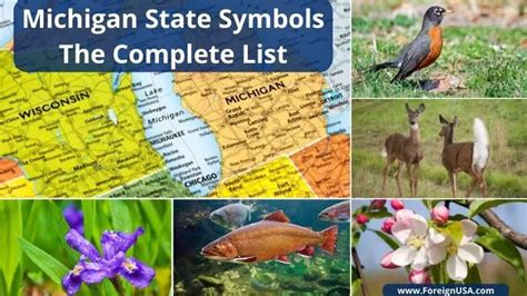 Learn All The Michigan State Symbols And Their Historical Significance