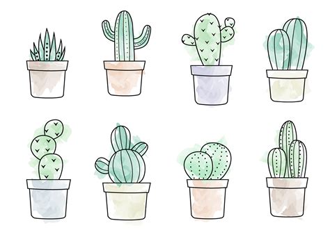 A Free Vector Illustration Of Eight Different Types Of Cacti Hope You