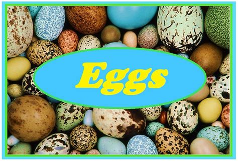 Eggs Loving2read