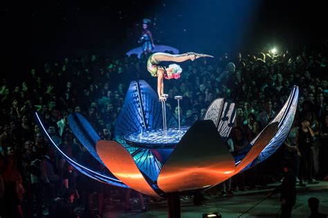 Cirque Du Soleil Has Filed For Bankruptcy Mvc Magazine