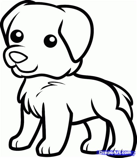 How To Draw A Golden Retriever For Kids Step By Step Animals For