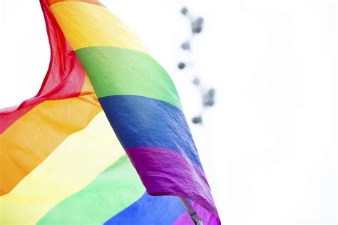 sexual diversity pride and belonging