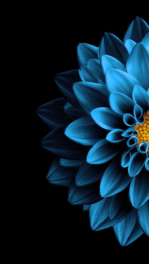 Amoled Flower Wallpapers Top Free Amoled Flower Backgrounds