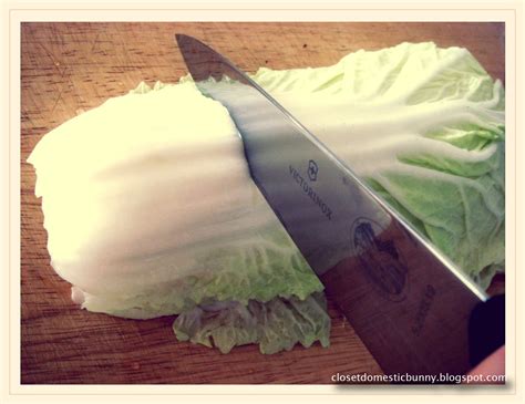 Cooking Eating Carousing Napa Cabbage Clear Soup With