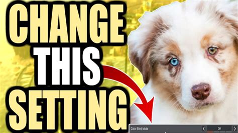 Change apex legends name if you are using steam. WHY YOU SHOULD CHANGE YOUR COLORBLIND SETTINGS EVEN IF YOU ...