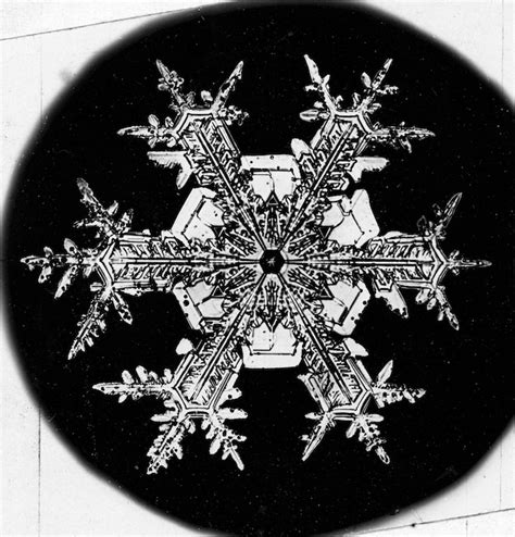 First Pictures Of Snowflakes Clipart