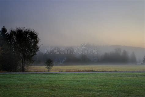 Sunlight Streaking Through Foggy Trees On An Autumn Morning Stock Image