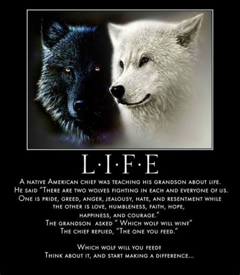Life Two Wolves Lone Wolf Quotes Wolf Quotes Two Wolves