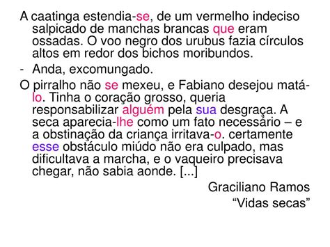 Circule De Vermelho Os Pronomes Possessivos