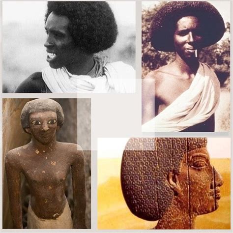 Arguments That Prove Ancient Egyptians Were Black